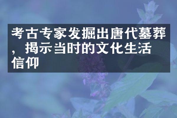 考古专家发掘出唐代墓葬，揭示当时的文化生活与信仰