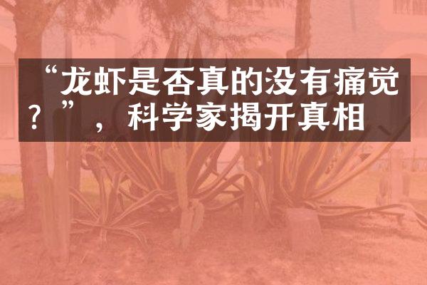 “龙虾是否真的没有痛觉？”，科学家揭开真相。