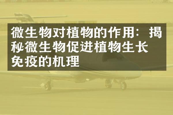 微生物对植物的作用：揭秘微生物促进植物生长和免疫的机理