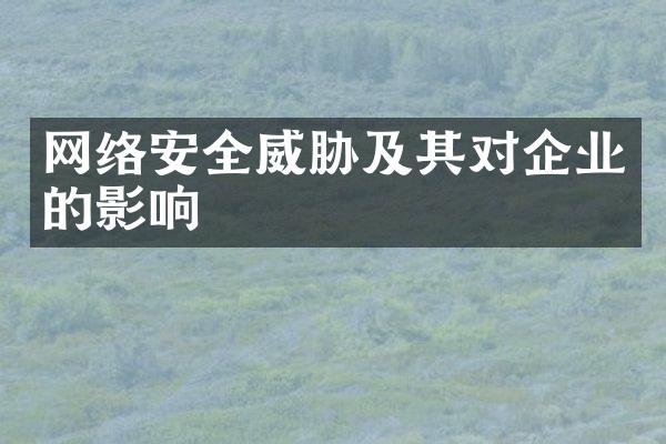 网络安全威胁及其对企业的影响