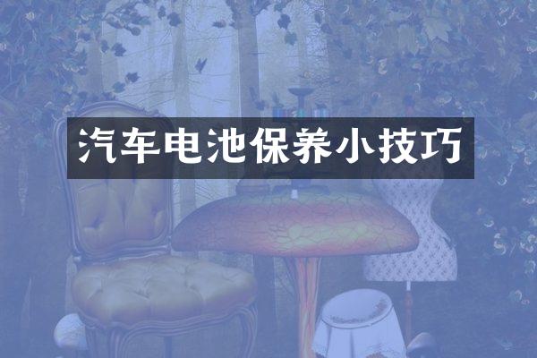 汽车电池保养小技巧