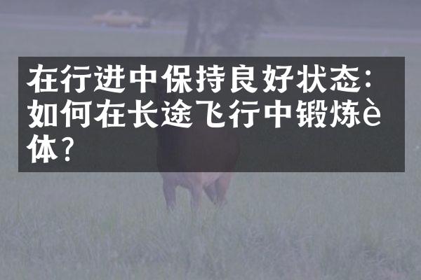 在行进中保持良好状态：如何在长途飞行中锻炼身体？