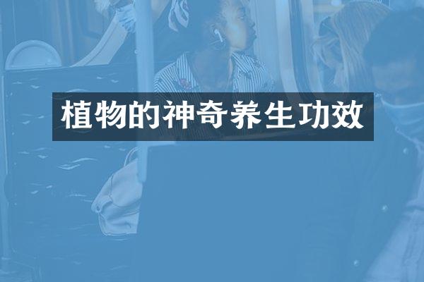 植物的神奇养生功效