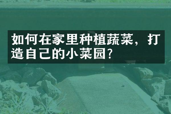 如何在家里种植蔬菜，打造自己的小菜园？