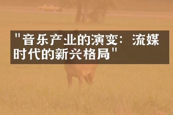 "音乐产业的演变：流媒体时代的新兴格局"