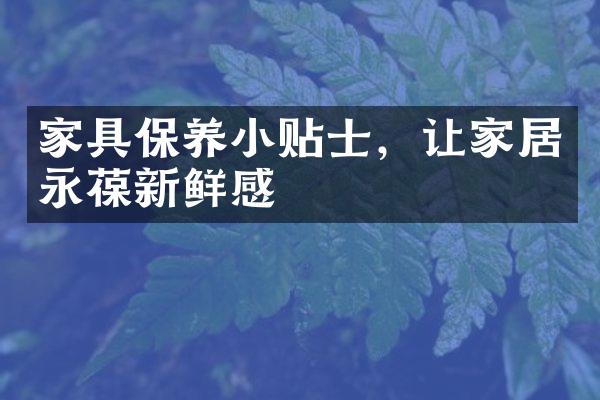 家具保养小贴士，让家居永葆新鲜感