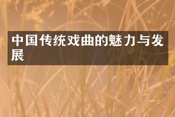 中国传统戏曲的魅力与发展
