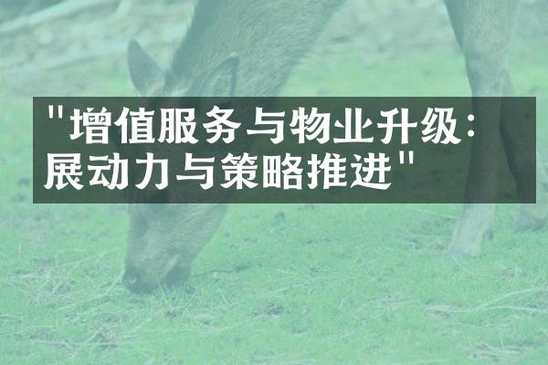 "增值服务与物业升级：发展动力与策略推进"