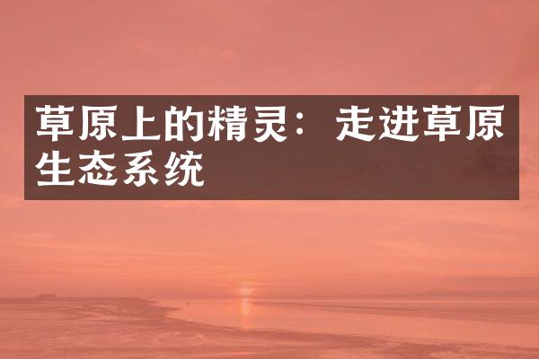 草原上的精灵：走进草原生态系统