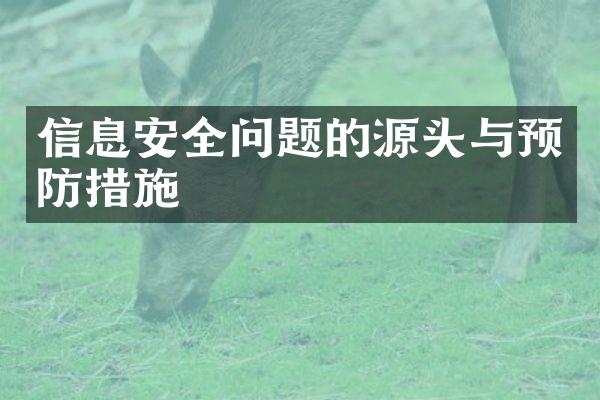 信息安全问题的源头与预防措施