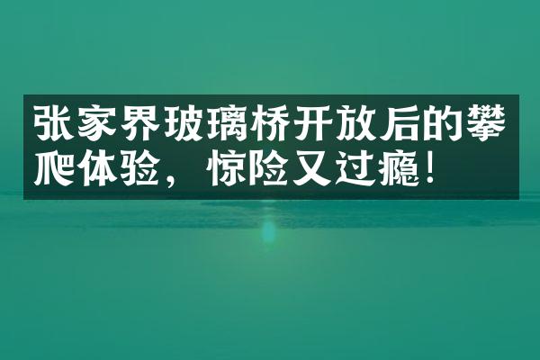 张家界玻璃桥开放后的攀爬体验，惊险又过瘾！