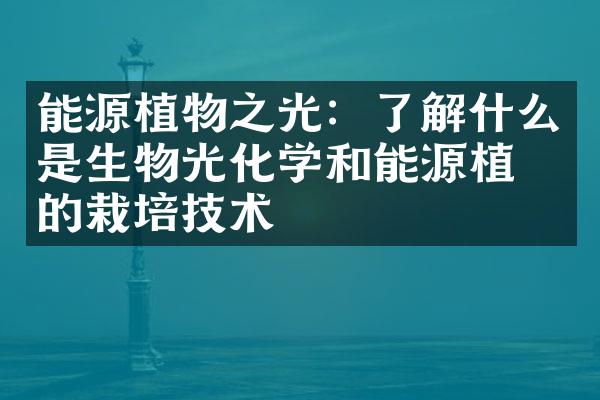 能源植物之光：了解什么是生物光化学和能源植物的栽培技术