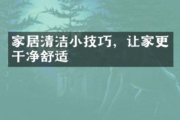 家居清洁小技巧，让家更干净舒适