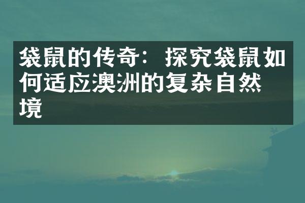 袋鼠的传奇：探究袋鼠如何适应澳洲的复杂自然环境