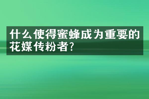 什么使得蜜蜂成为重要的花媒传粉者？