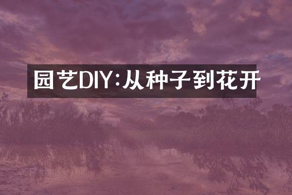 园艺DIY:从种子到花开