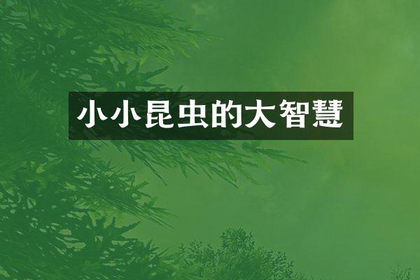 小小昆虫的大智慧