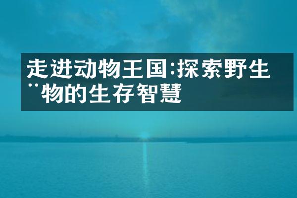 走进动物王国:探索野生动物的生存智慧