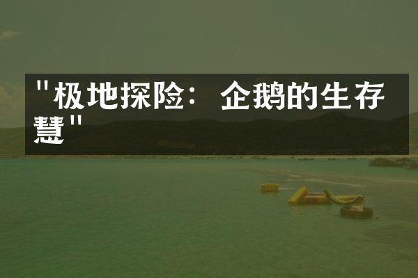 "极地探险：企鹅的生存智慧"