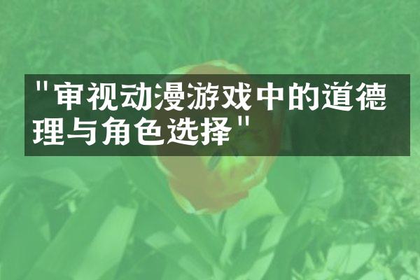 "审视动漫游戏中的道德伦理与角色选择"
