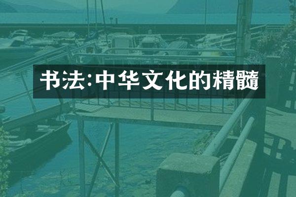 书法:中华文化的精髓