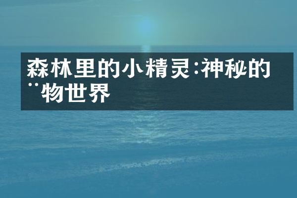森林里的小精灵:神秘的动物世界