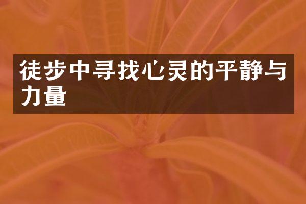 徒步中寻找心灵的平静与力量
