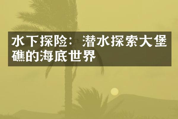 水下探险：潜水探索大堡礁的海底世界