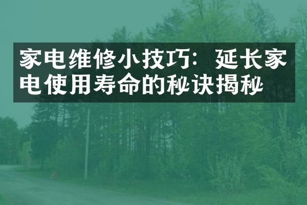 家电维修小技巧：延长家电使用寿命的秘诀揭秘！