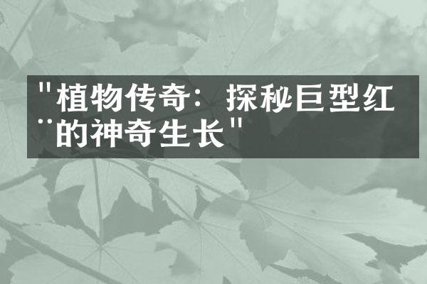 "植物传奇：探秘巨型红木的神奇生长"