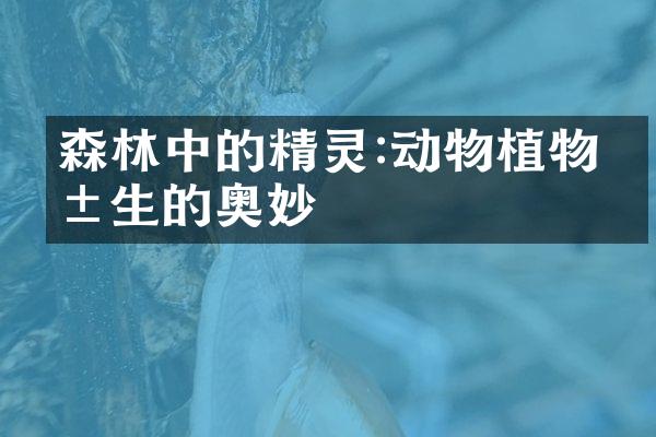 森林中的精灵:动物植物共生的奥妙