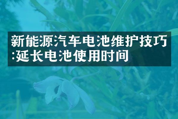 新能源汽车电池维护技巧:延长电池使用时间