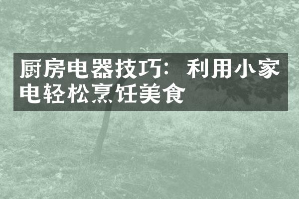 厨房电器技巧：利用小家电轻松烹饪美食
