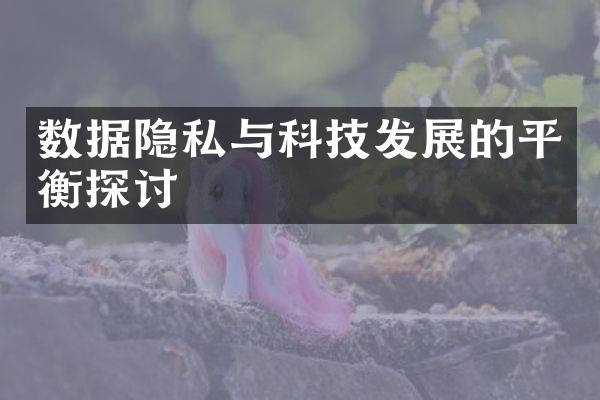 数据隐私与科技发展的平衡探讨