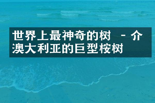 世界上最神奇的树  - 介绍澳大利亚的巨型桉树