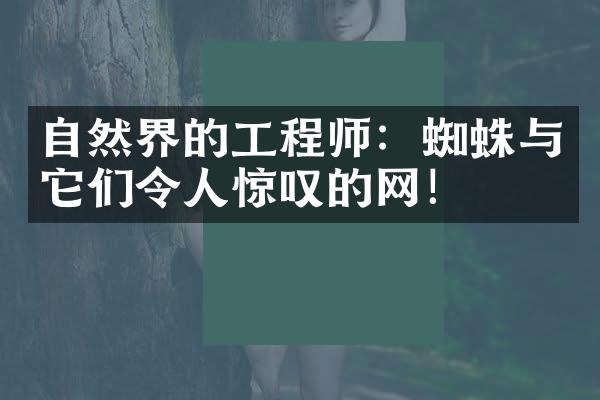 自然界的工程师：蜘蛛与它们令人惊叹的网！