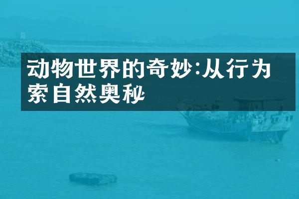 动物世界的奇妙:从行为探索自然奥秘