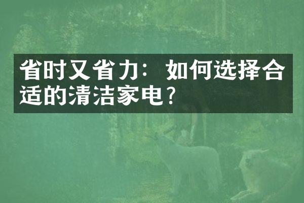 省时又省力：如何选择合适的清洁家电？