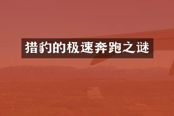 猎豹的极速奔跑之谜