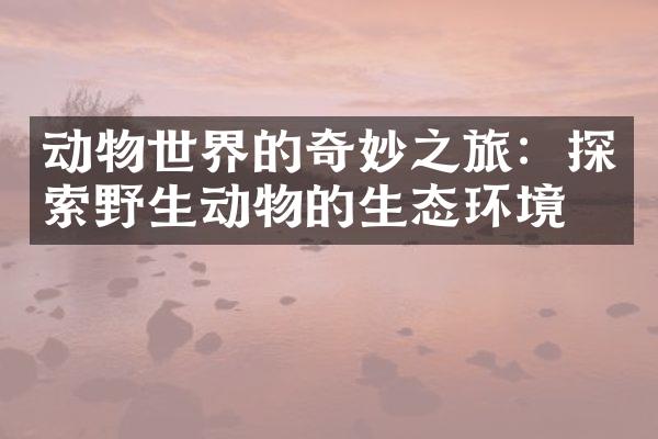 动物世界的奇妙之旅：探索野生动物的生态环境