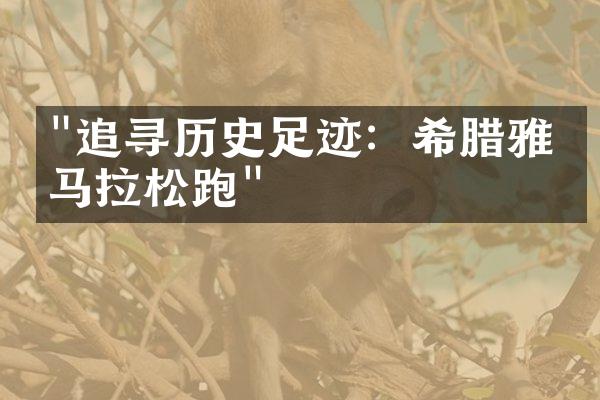 "追寻历史足迹：希腊雅典马拉松跑"