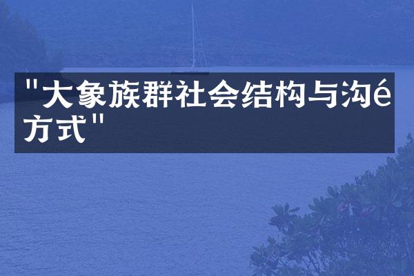 "大象族群社会结构与沟通方式"