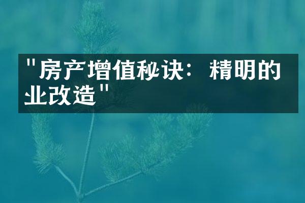 "房产增值秘诀：精明的物业改造"