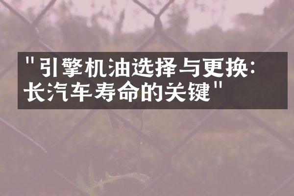 "引擎机油选择与更换：延长汽车寿命的关键"