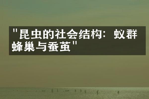 "昆虫的社会结构：蚁群、蜂巢与蚕茧"