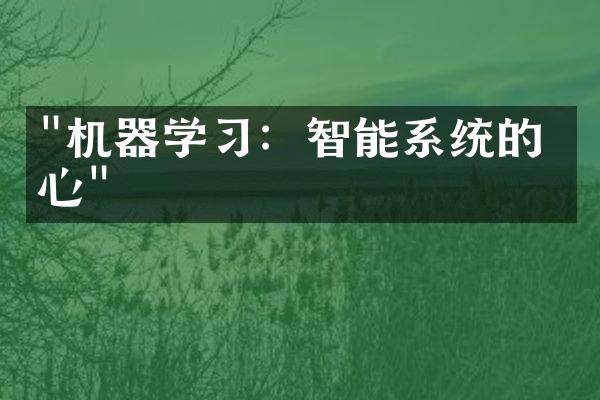 "机器学习：智能系统的核心"