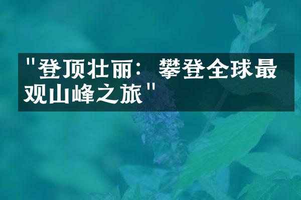 "登顶壮丽：攀登全球最壮观山峰之旅"