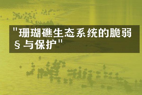 "珊瑚礁生态系统的脆弱性与保护"