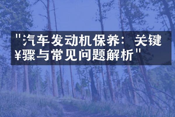 "汽车发动机保养：关键步骤与常见问题解析"