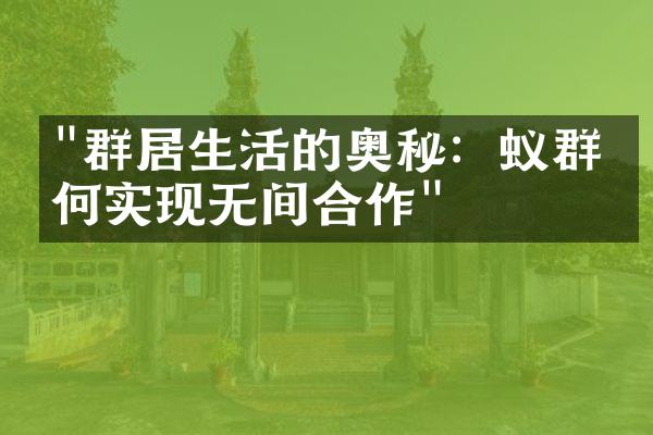 "群居生活的奥秘：蚁群如何实现无间合作"